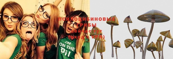 прущие крисы Усинск